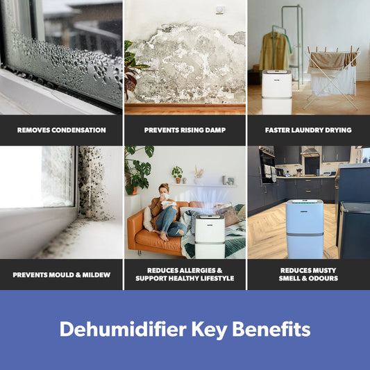 20L Large Digital Energy-Efficient Dehumidifier With Laundry Mode