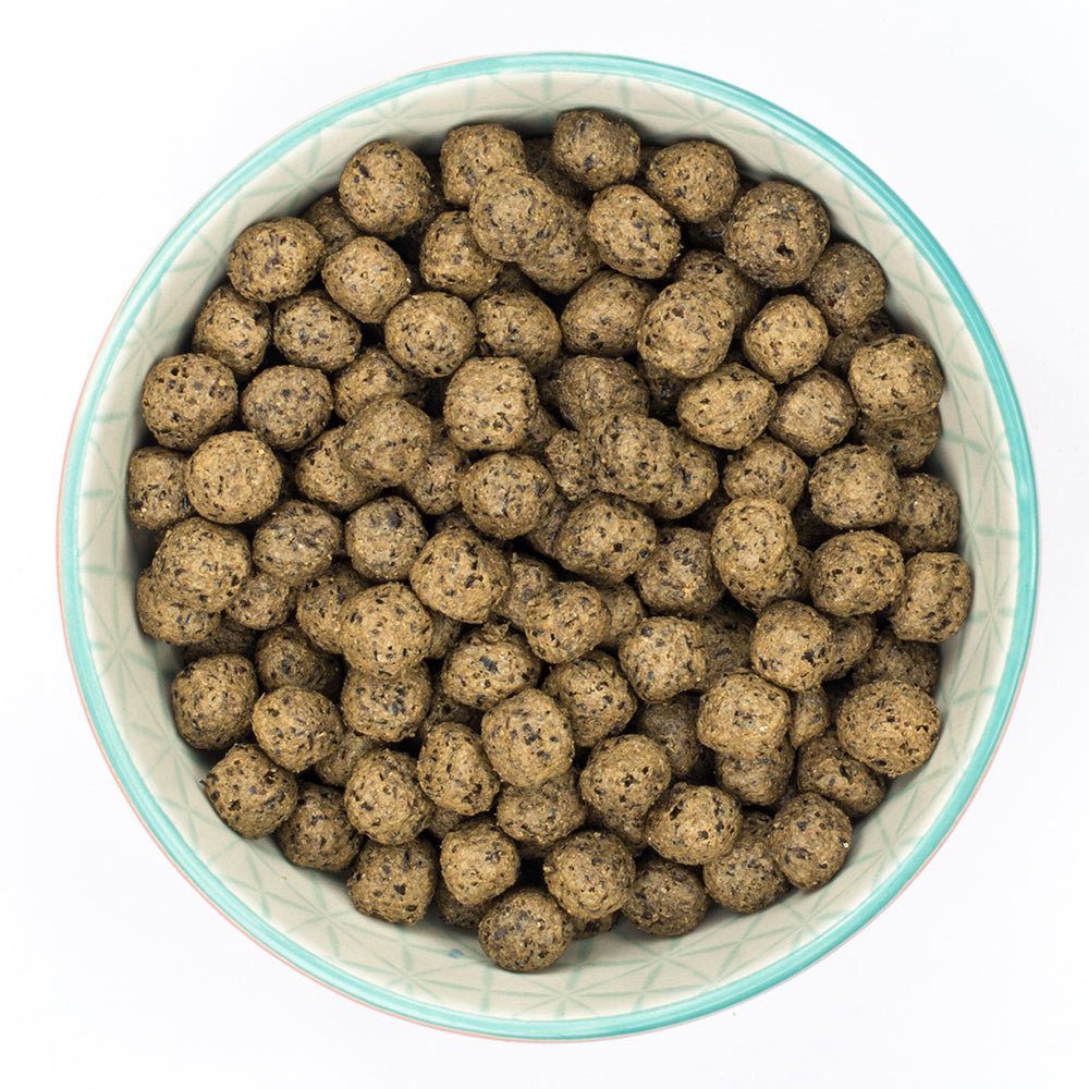 Burns Grain Free Adult Dog - Duck & Potato