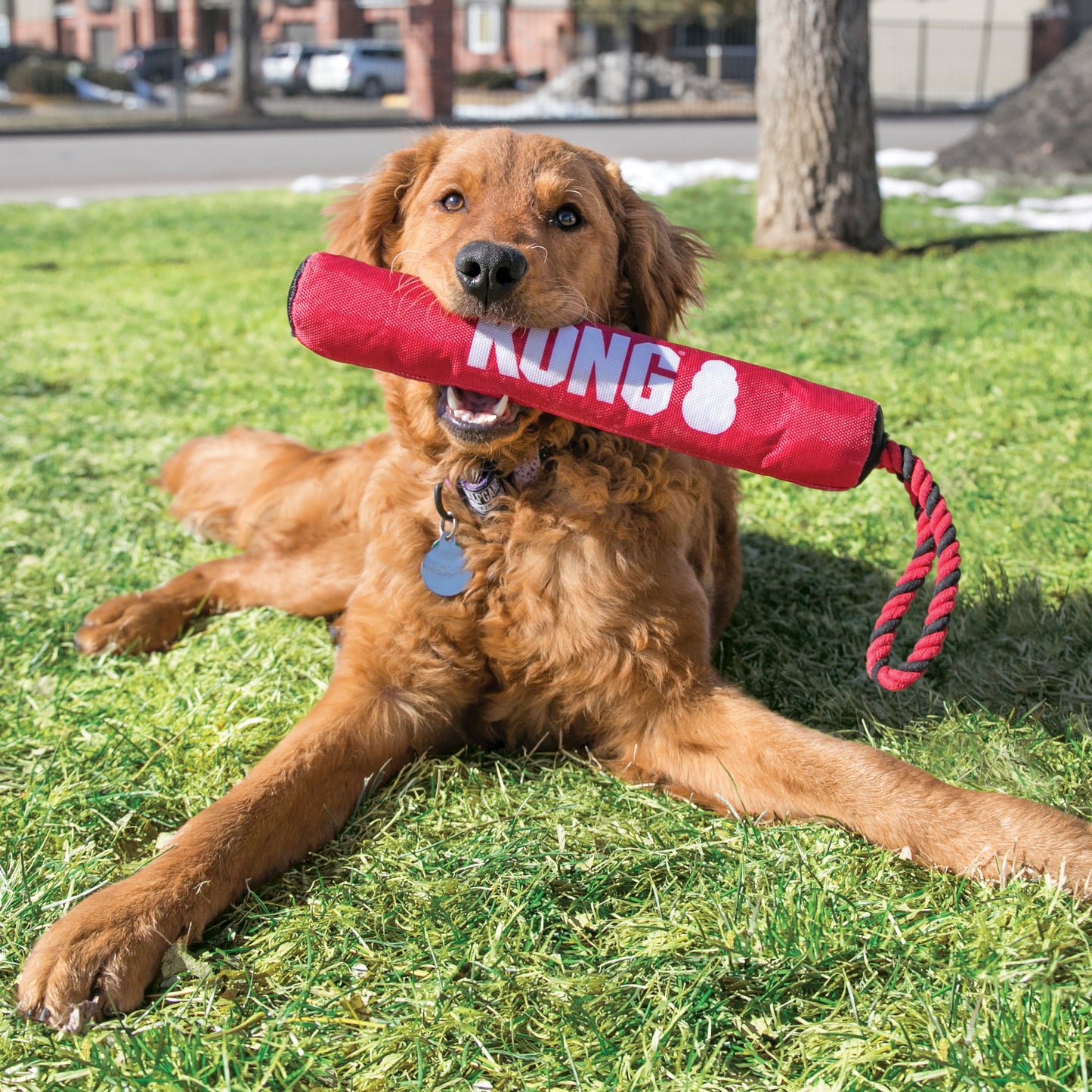 KONG Signature Stick - Medium with Rope 48cm